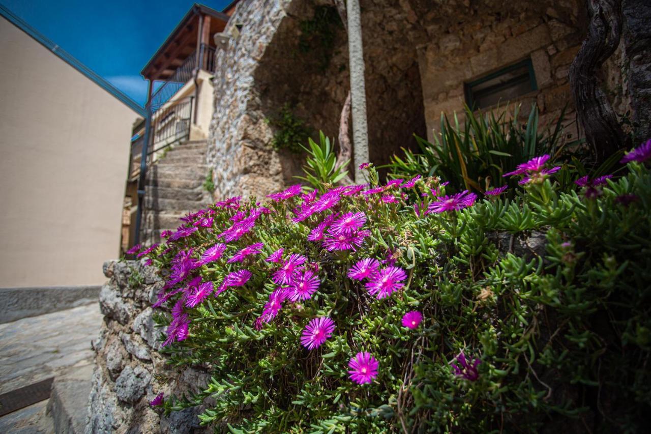 Parona Holiday Home Връбник Екстериор снимка